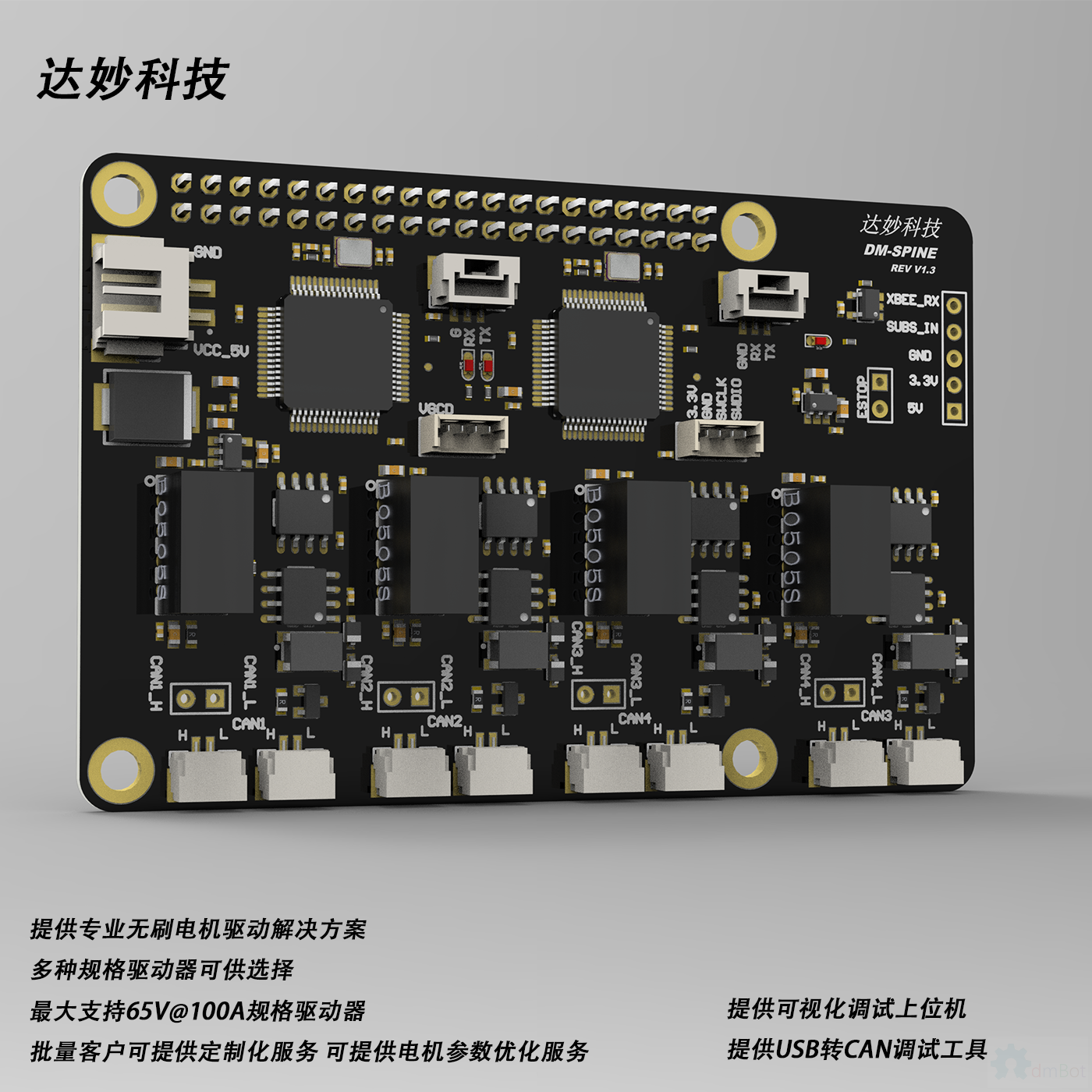 MIT SPIne 测试8
